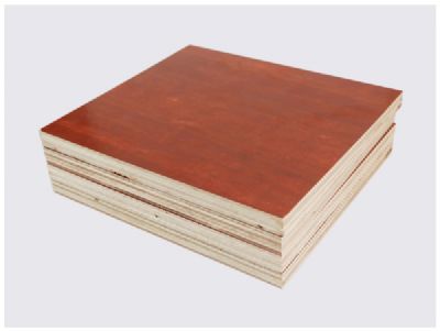 工地建筑模板批發